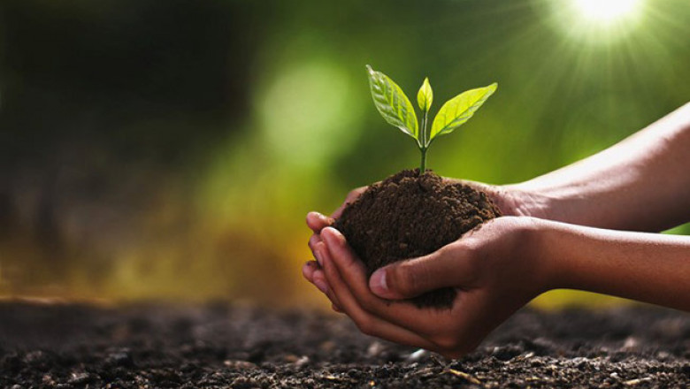 Organic Fertilizer are made from organic materials