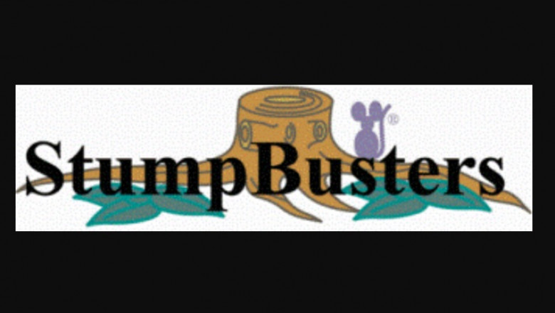 Stump Removal Could make Your Yard Healthier, Safer, and much more Eye-catching