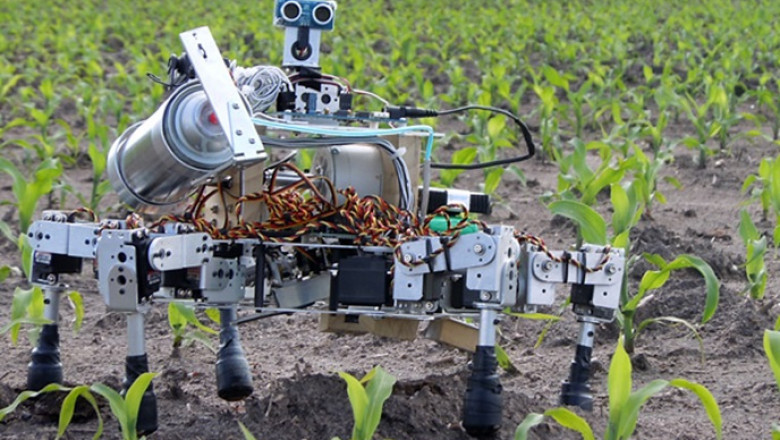 Agriculture Robots Market Regional Insights