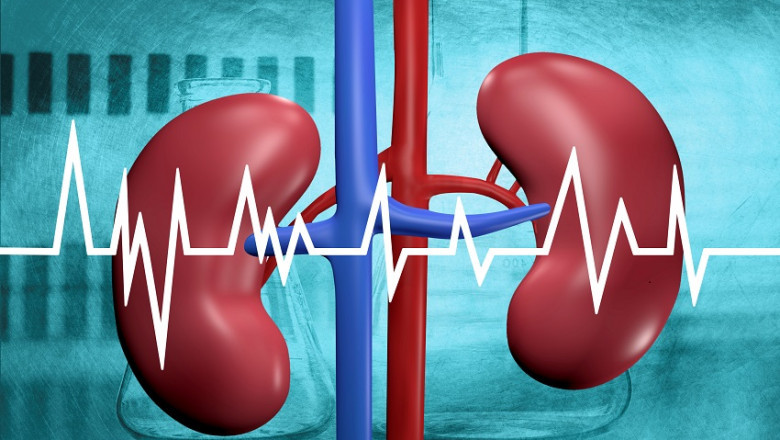 Global Kidney Function Tests Market Segments, Leading Players, Application, and Forecast Analysis