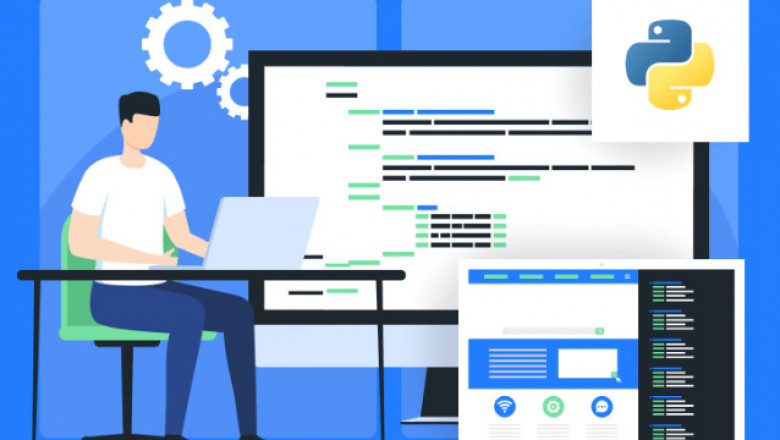 Why You Should Hire a Python Developer for Your Business?