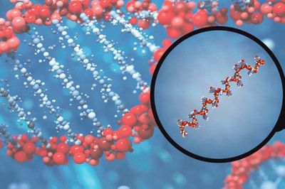 microRNA Market: Technological Advancements Driving Growth During 2021-2028