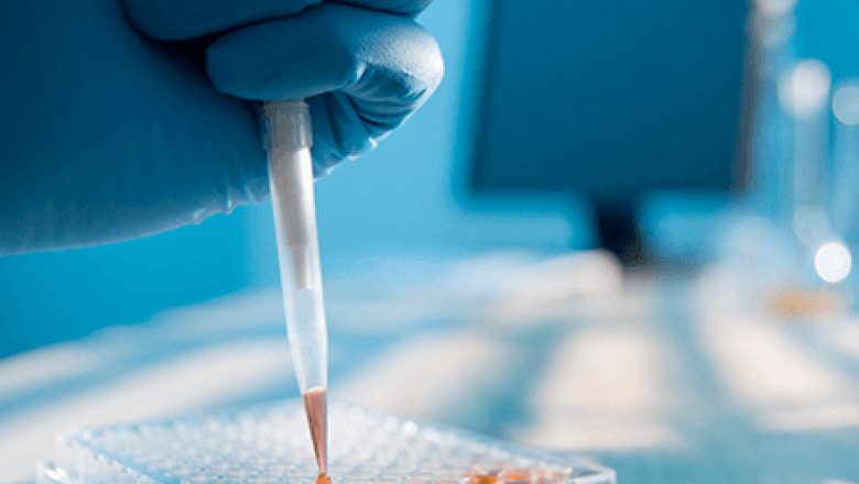 Cell Line Authentication Test in India