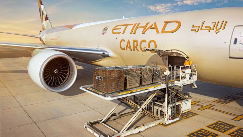 Etihad Cargo transports 4 rescued servals to their forever home