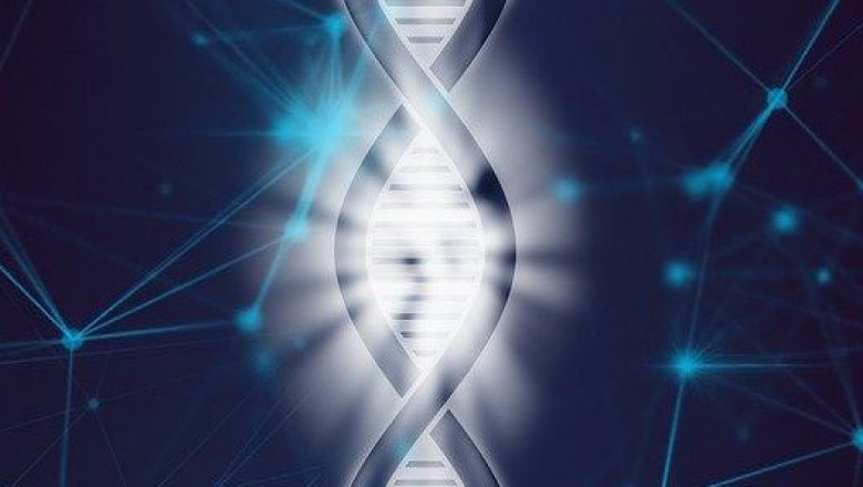 NLP in Healthcare and Life Sciences Market Research, Major Manufacturers, Analysis, Industry Demand by Segmentation and Forecast