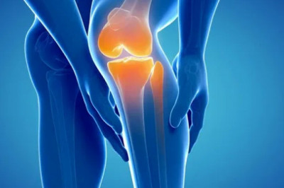 osteoarthritis  Market Business Opportunities, Revenue 2022-2028| Research Informatic