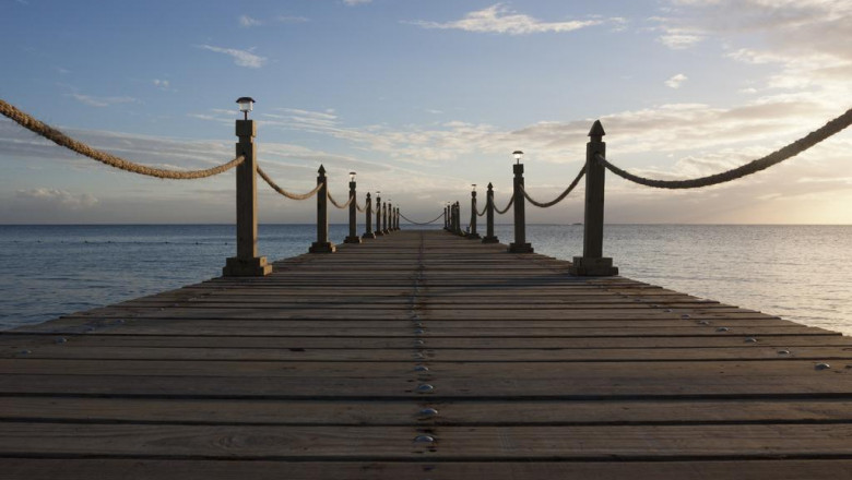 tips on how to get to the top of this marketing food chain