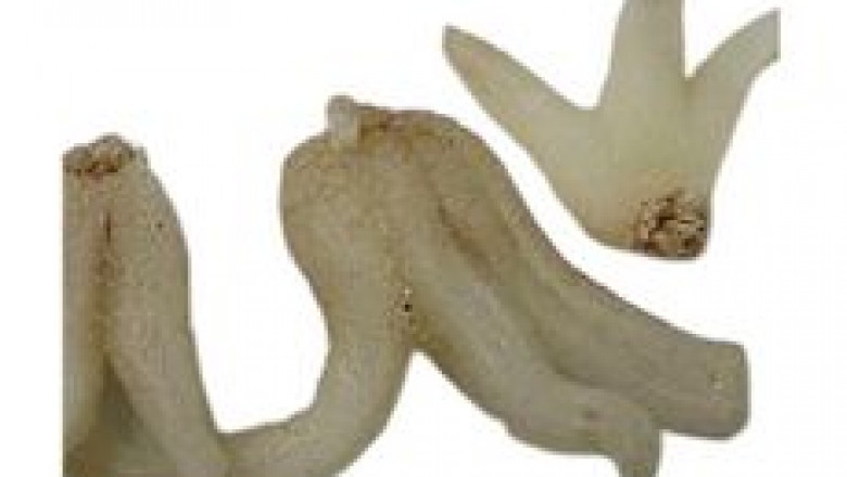 Unani Medicine Online