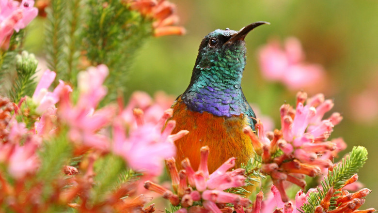 5 Best Places To Visit In Bloemfontein