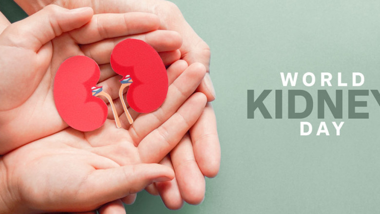 National Kidney Awareness Month: What You Should Learn About Kidney Health?