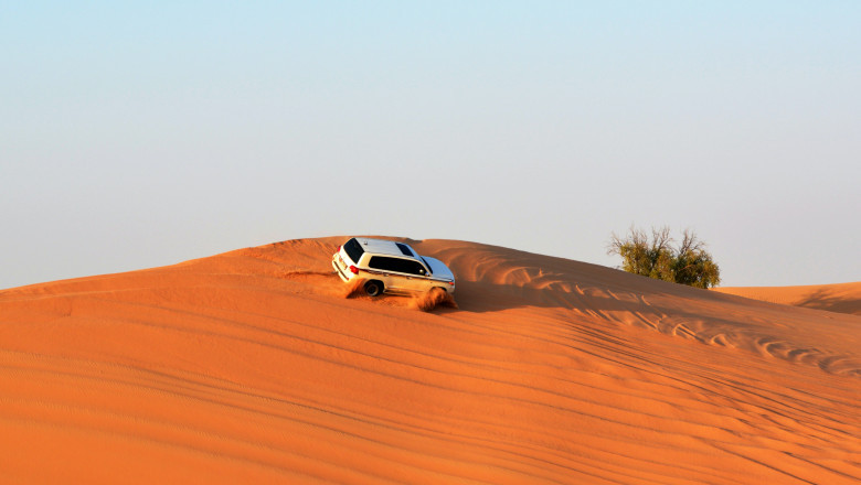 Best tour operator company for desert safari