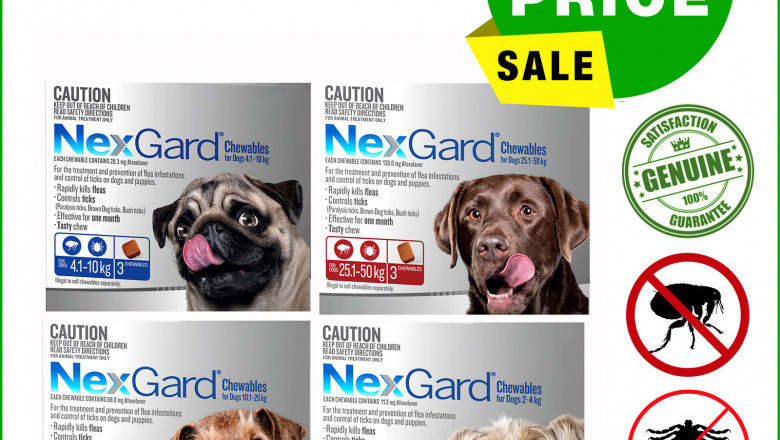 NEXGARD Monthly Chews Flea and Tick Protection for Dogs