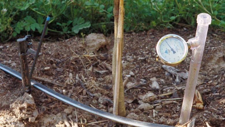Tensiometer Market Trend Analysis, Growth Rate, Dynamics, & Development