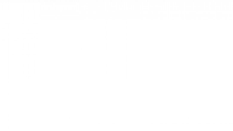 History Writing Services