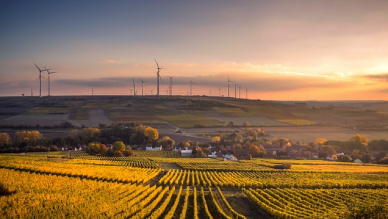 Top 10 wheat exporting countries