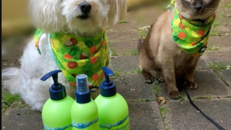 Dog Shampoo and Conditioner for Dry Skin