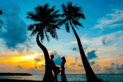 What Is Love? Understanding and Explanation
