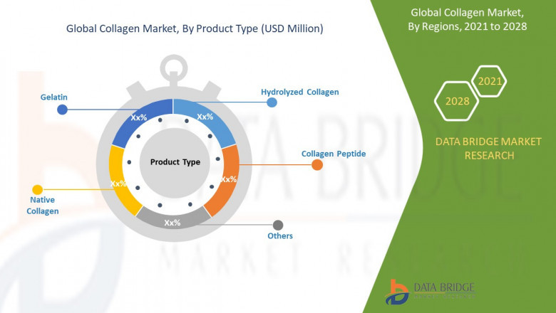 Collagen Market Share, Trends, Growth, Insights, and Business Strategies with Top Leaders Like COBIOSA, GELNEX, Nippi Collagen NA Inc., ET-Chem