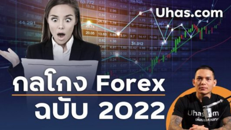 What Are Forex Alerts and How Do They Help?