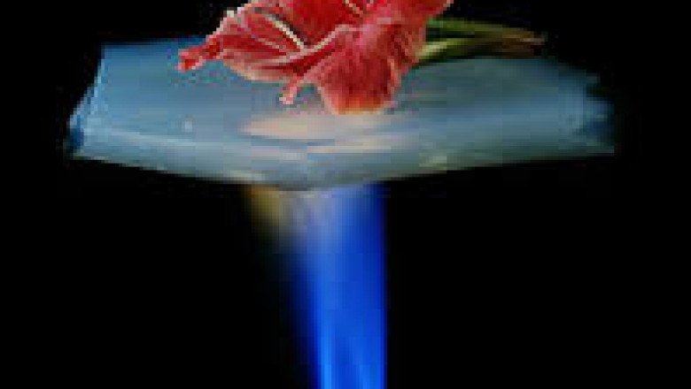 Aerogel Market Analysis and Forecast (2026) by Leading Players