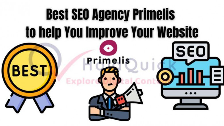 Best SEO Agency Primelis to help You Improve Your Website