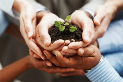 Hands On As We Grow