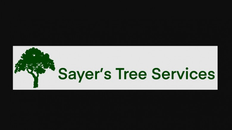 Specialists In Tree Care Present Some Great Planting Guidelines