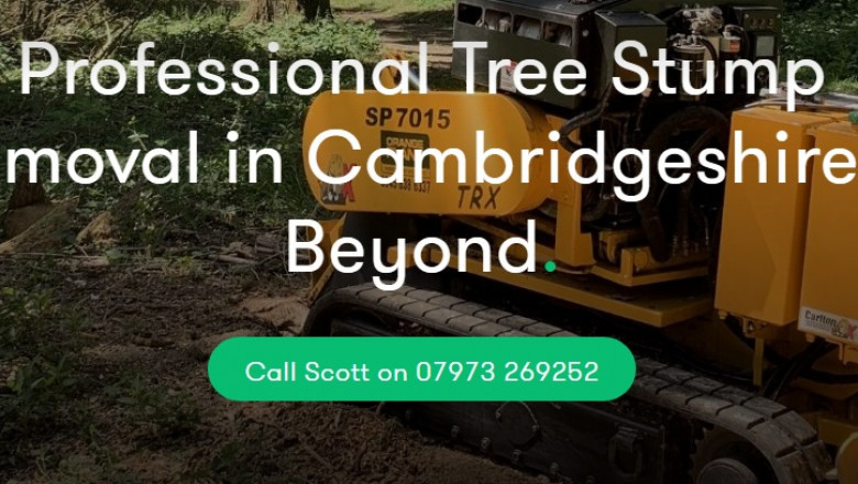 Characteristics You need To understand To discover A Reputable Stump Grinding Professional