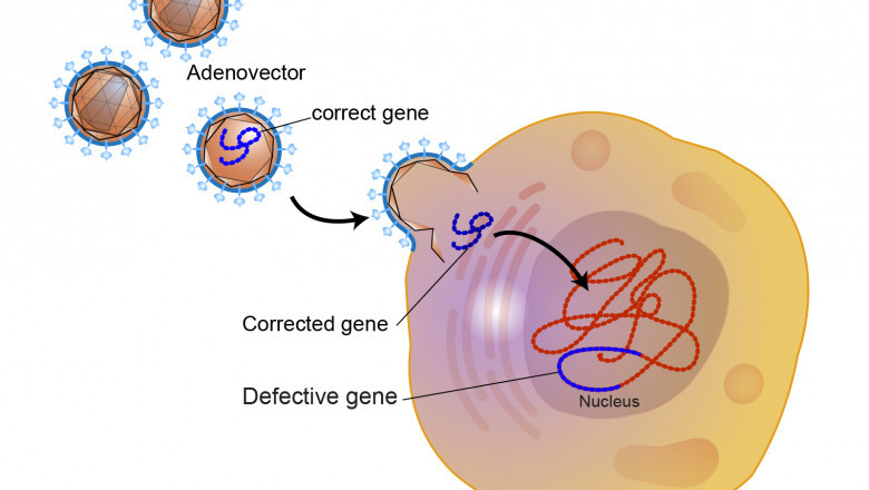 Gene Therapy Market Report Forecast 2022-2030 By Price, Trend and Growth