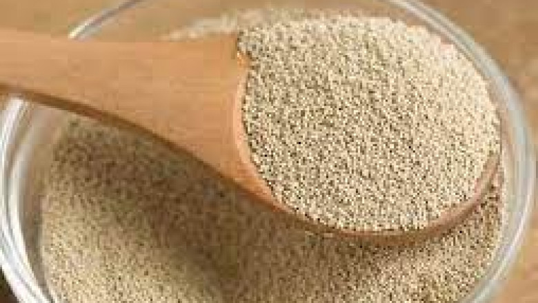 Instant Dry Yeast Market Global Industry Insights, Trends, Outlook, and Opportunity Analysis, 2018-2026