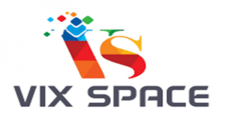 Startup Consulting Services - Vixspace
