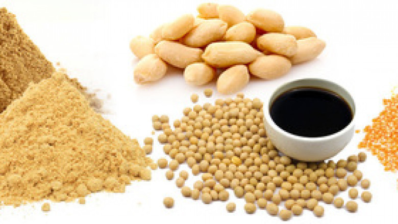 Hydrolyzed Vegetable Protein Market 2022 Demand, Size, Share, Growth Opportunities, Segmentation, Trends and Forecast to 2025 |Research Informatic