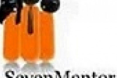 Software Testing Market