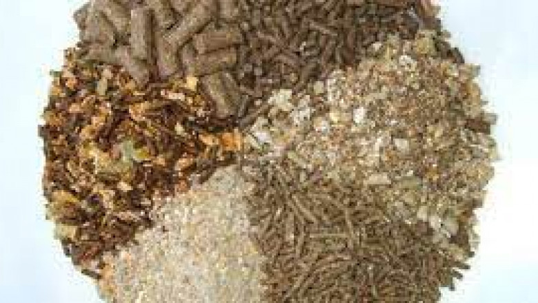 Feed Acidifiers Market Report Reviews the Top Players with Key Strategies, Size & Share Analysis and Forecast 2022-2029