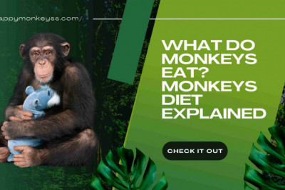 What kind of food do monkeys consume?