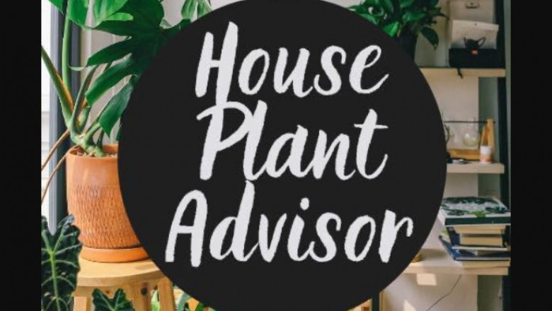 Home Plant Care - A Guide For your Container Garden