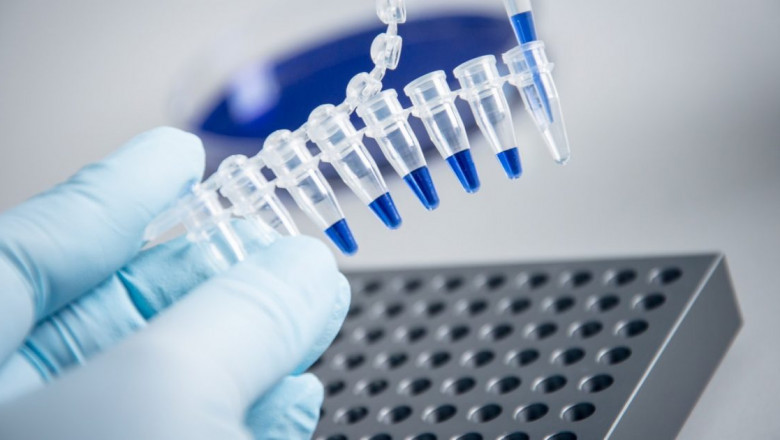 What is Polymerase Chain Reaction used for in real life?