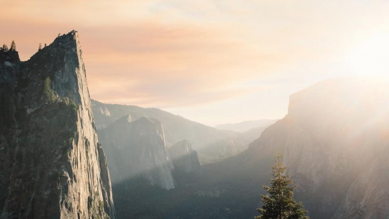 best cbg oil top 5 brands of 2022 d magazine