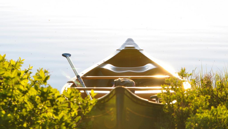 tips on how to decide on the correct crypto coin