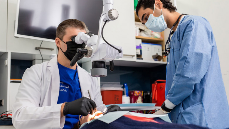 What Are The Most Frequently Asked Questions About Veneers?