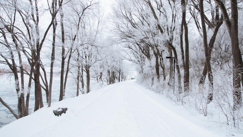 25 surprising facts about dkstyle