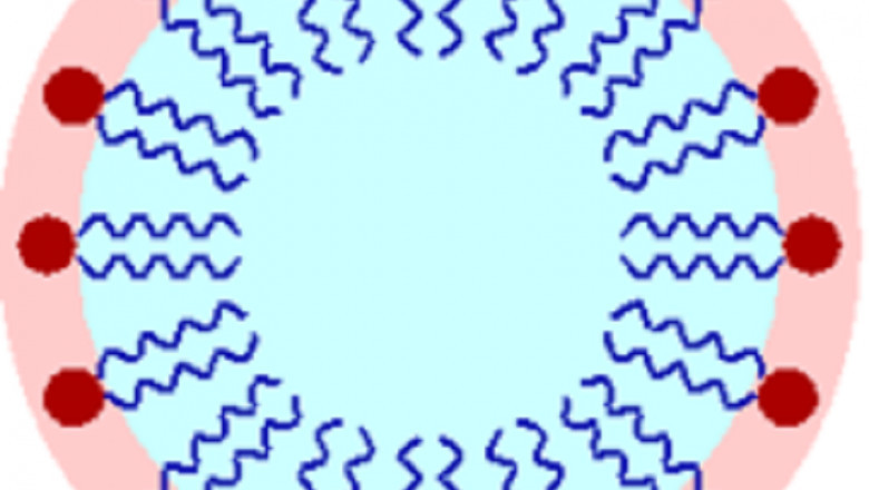 Surfactant Market Trends, Key Players, Overview, Competitive Breakdown And Regional Forecast By 2029 | BASF SE, AkzoNobel, Stepan Company, Rhodia, Clariant