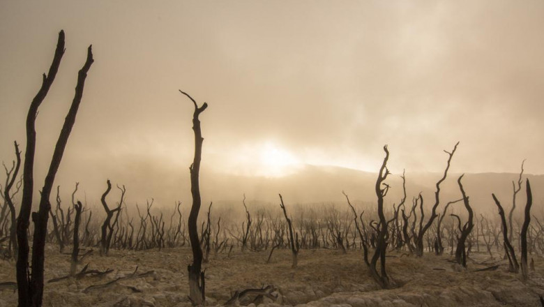 5 laws anyone working in apophrakseis gluphada kentro should know