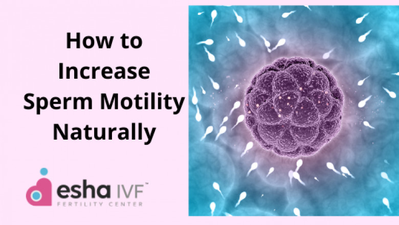 HOW TO INCREASE SPERM MOTILITY NATURALLY