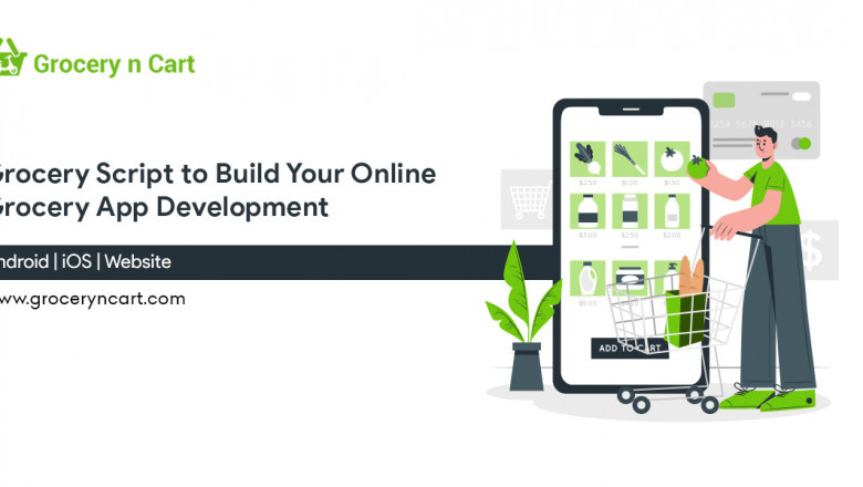 online grocery delivery service
