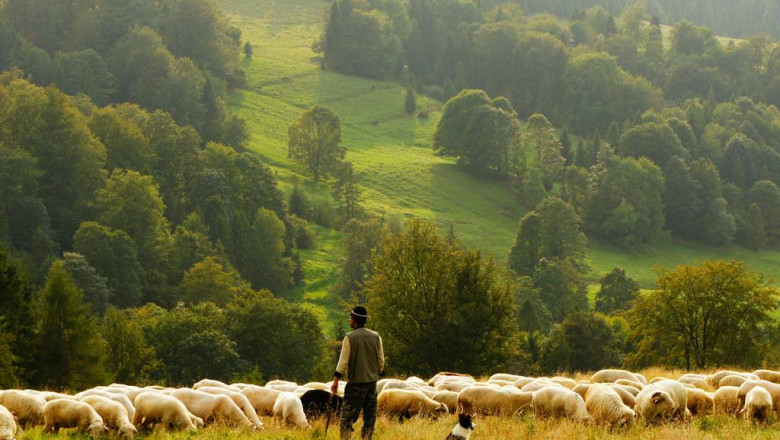 15 undeniable reasons to love glen ridge painters contractors