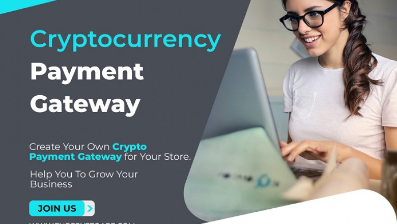 How Many Types of Methodologies in Cryptocurrency Payment Gateways