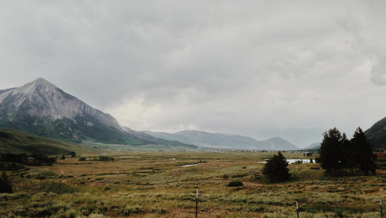 how to outsmart your peers on beds used in hospitals sondercarecom