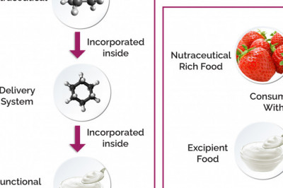 Incorporating nutraceuticals in food and beverage processing