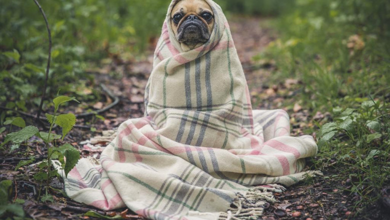 6 books about swift programming training online you should read